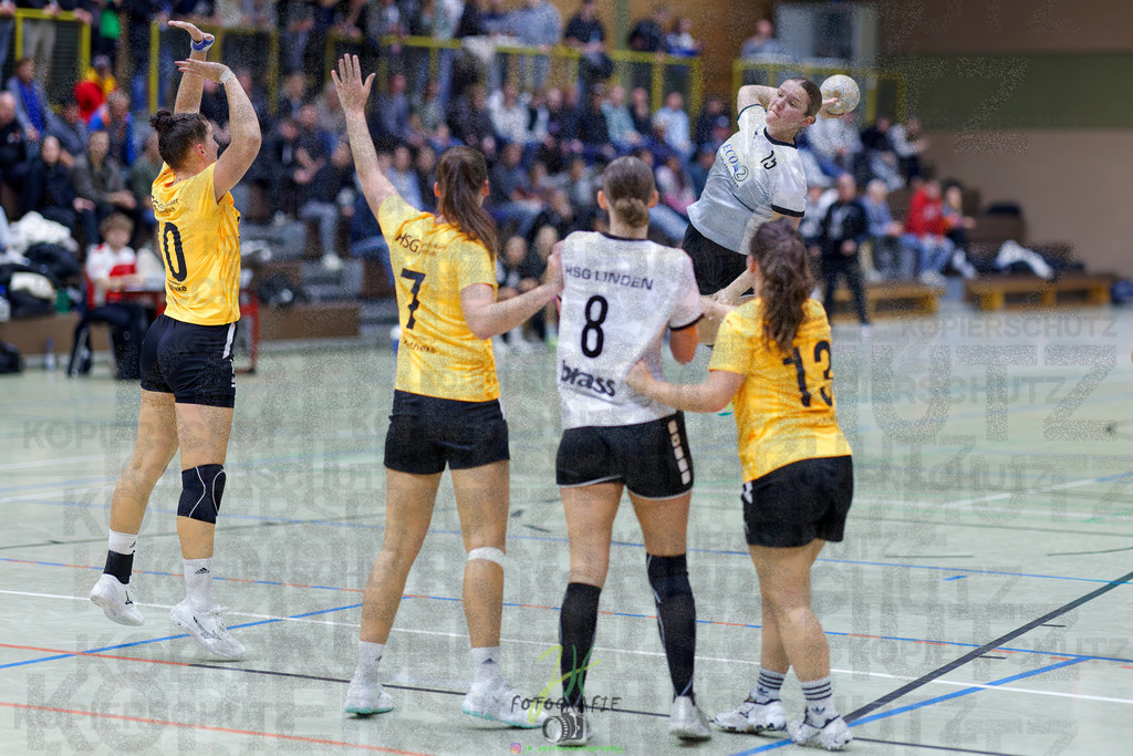 Frauen Oberliga Mitte (HHV); HSG Eibelshausen/Ewersbach - HSG Linden | Frauen Oberliga Mitte (HHV); HSG Eibelshausen/Ewersbach - HSG Linden am 15.11.2025 in Eibelshausen (Holderberghalle)Photo © 2025 - Jörg Heinrich - Realisiert mit Pictrs.com