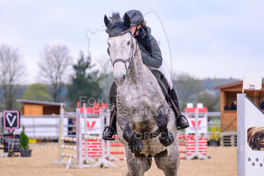 10042026-Mammendorf-Prfg16-0393 | Fokus Hufschlag Fotografie - Realisiert mit Pictrs.com