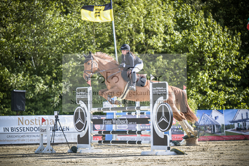 DOS_9930 | Entdecke hochwertige Reitturnierfotos von Foto Oger. Professionell, emotional und authentisch – jetzt Lieblingsmomente im Shop bestellen.Deutschlandweite Turnierfotografie. - Realisiert mit Pictrs.com