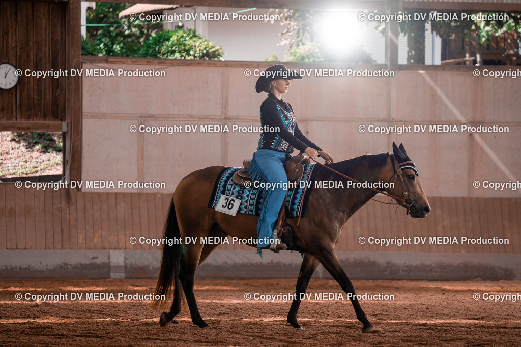 NE100354 | dv-media-shop - Realisiert mit Pictrs.com