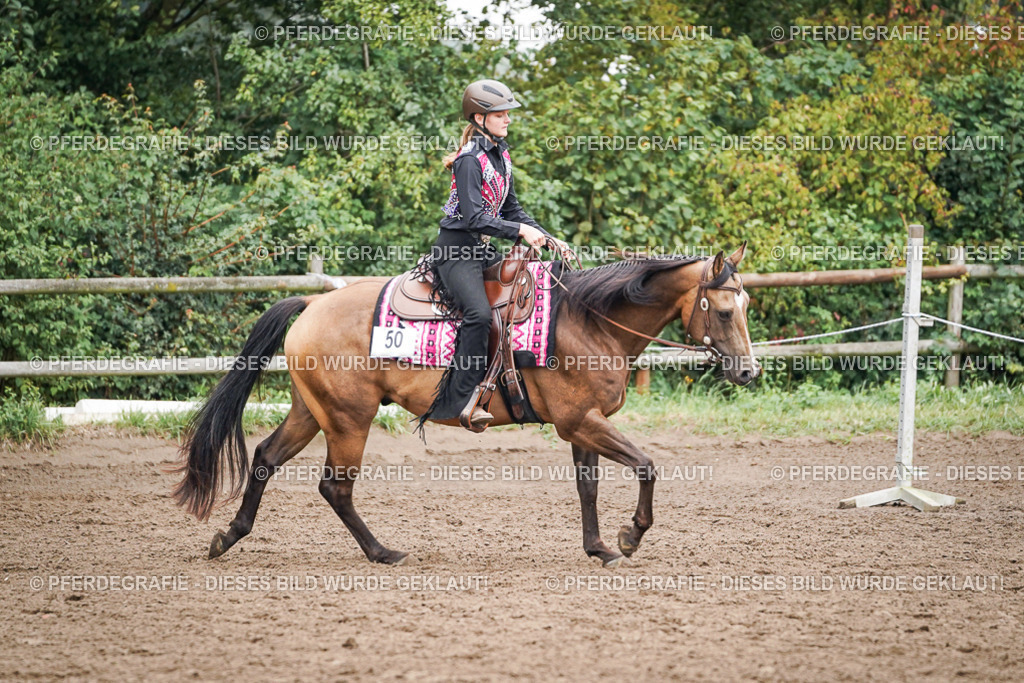 DSC02496 | Pferdegrafie