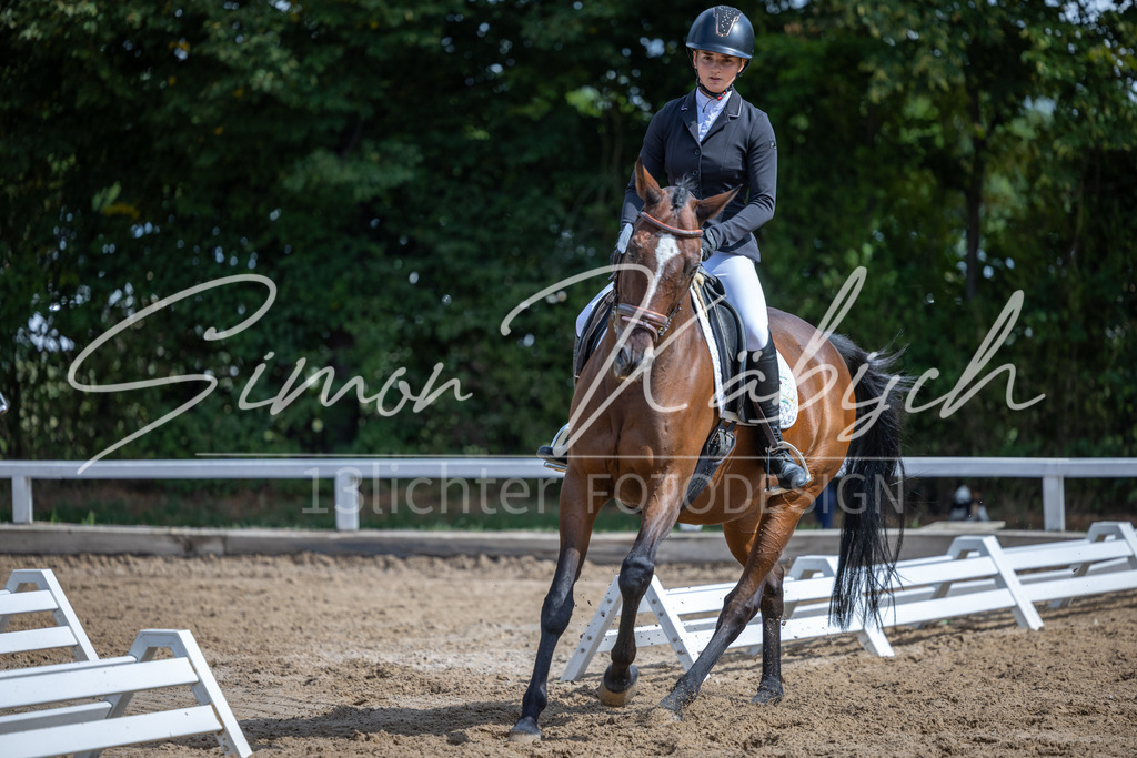 20260905-_3LI7802 | Tierfotografie Pferde, Hunde, Katzen, Haustiere.
Turnierfotografie Reitturniere, Reiten, Springreiten, Dressur in Hanau, dem Main-Kinzig-Kreis und dem Rhein-Main- Gebiet um Frankfurt