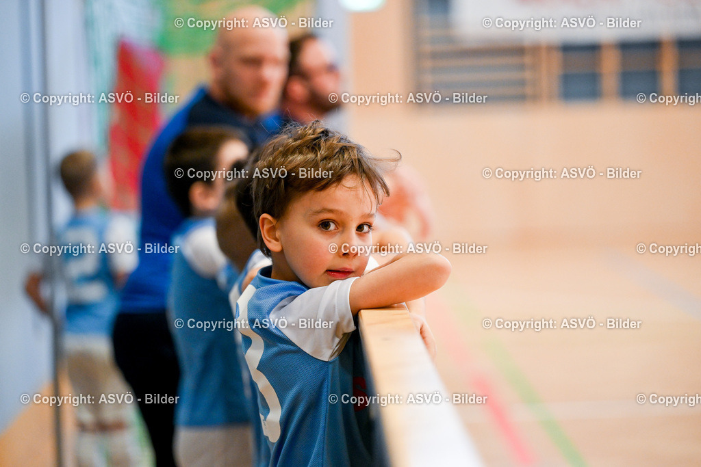 ASVÖ_ Fussballturnier SV Gallneukirchen_ 08.02.2025-24 | 08.02.2025, Gallneukirchen, AUT, ASVÖ, Fussball Nachwuchs Hallenturnier 2025, SV Gallneukirchen im Bild Teilnehmer U 7©Harald Dostal / fodo.media - Realisiert mit Pictrs.com