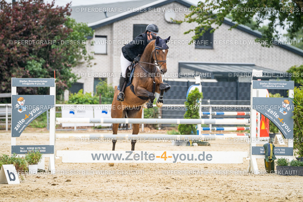 DSC00830 | Pferdegrafie