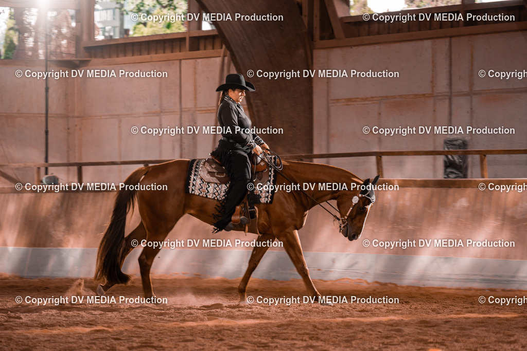 NE200103 | dv-media-shop - Realisiert mit Pictrs.com