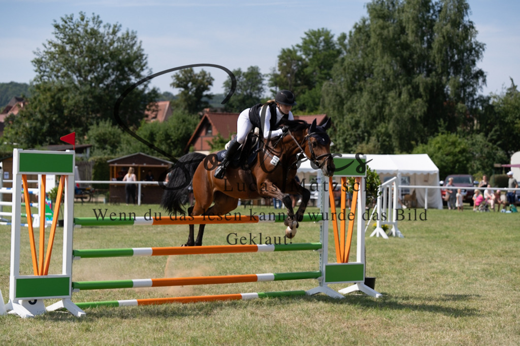 A7V01641 | Turnier/Reitfotograf