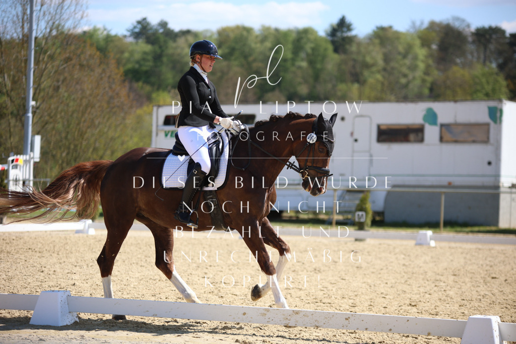 IMGT2583 | pl-fotografie