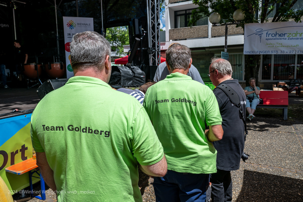 wwb-2506-0786 Goldberg-2025 | <Fotografie> <Video> <Film> <Winfried Bischoff> - Realisiert mit Pictrs.com