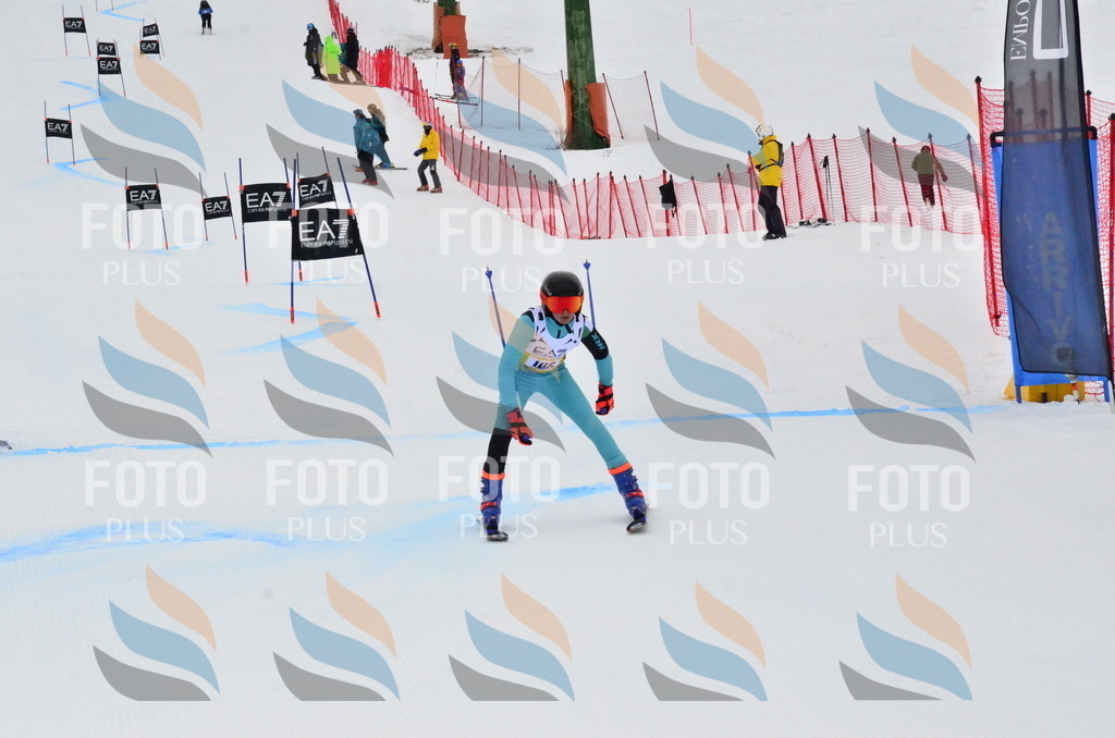 _ELE3795 | holidayphoto