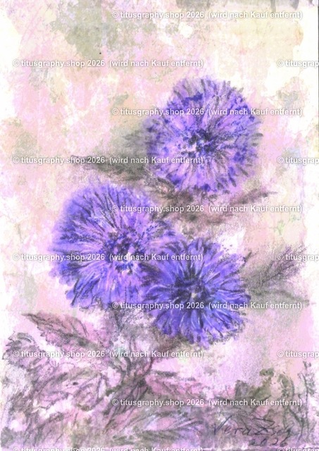 Asterngruß Variation 43 | Zeichnung von Vera Zschecked exclusiv auf titusgraphy.eu - Realisiert mit Pictrs.com