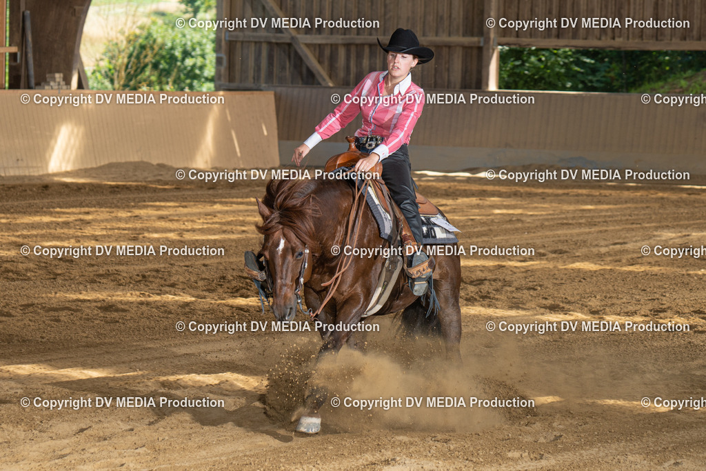 DSC00388 | dv-media-shop - Realisiert mit Pictrs.com