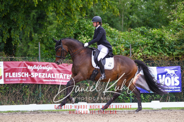 DKP41533 | Turniersportfotografie; Pferdefotografie; Dressurfotografie