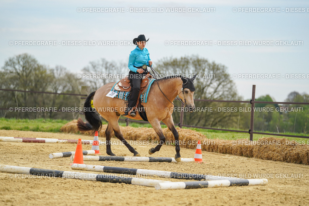 DSC03396 | Pferdegrafie