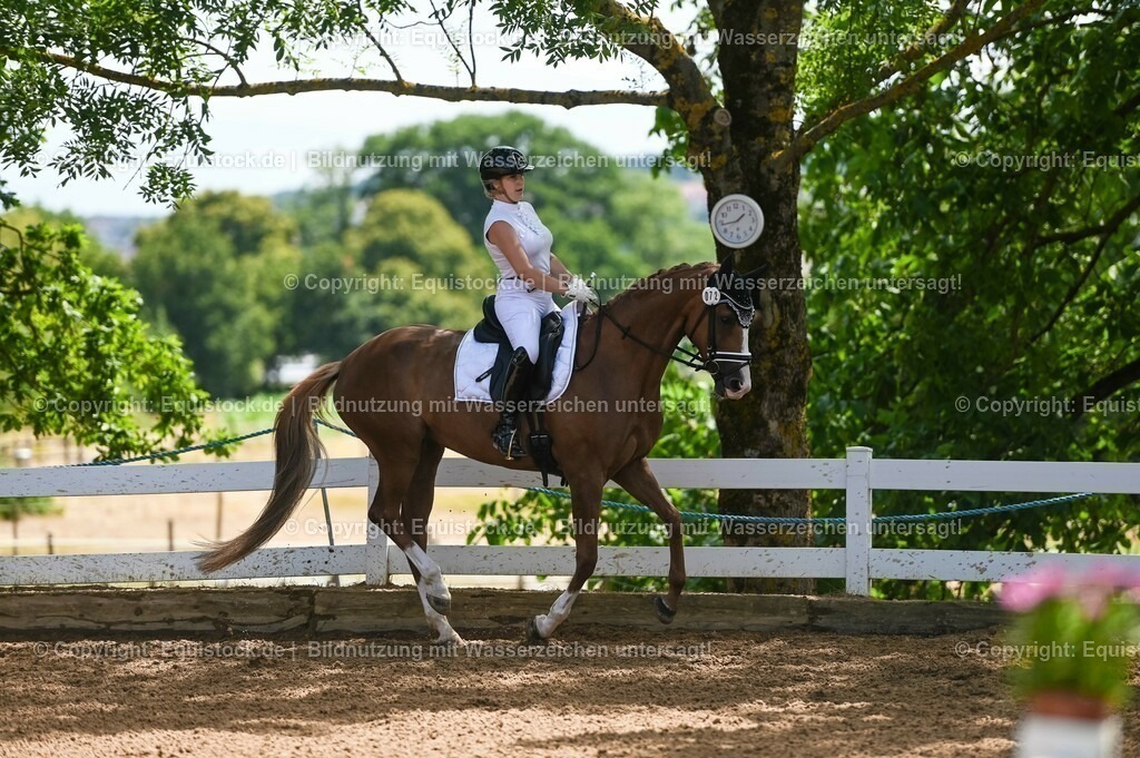20230716_03_Dressurprfg. Kl.L - Tr._0507 | equistock