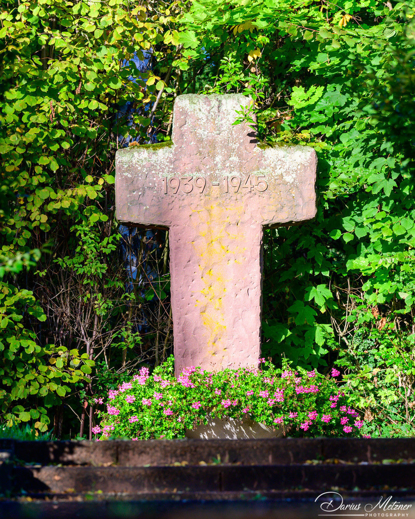 Der alte Hauptfriedhof in Mainz | Der alte Hauptfriedhof in Mainz