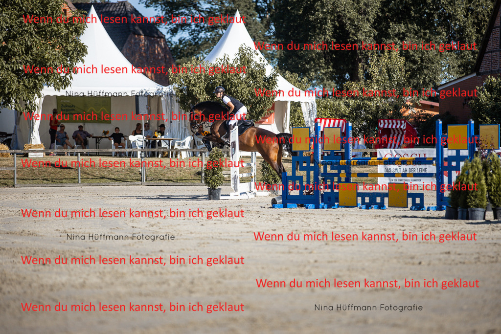 BK1A7428 | Turnierbilder Turnierfotos Nina Hüffmann Turnierfotografie Pferdefotografie Tierzeichnung Haustierzeichnung Pferdezeichnung Hundezeichnung Videograf  - Realisiert mit Pictrs.com
