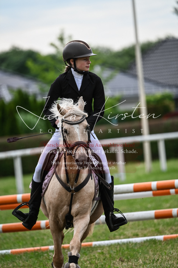 DSC_8608 | Pferde- und Turnierfotografie in Westsachsen. Pferdeportraits, Auftragszeichnungen und intuitive Kunst.