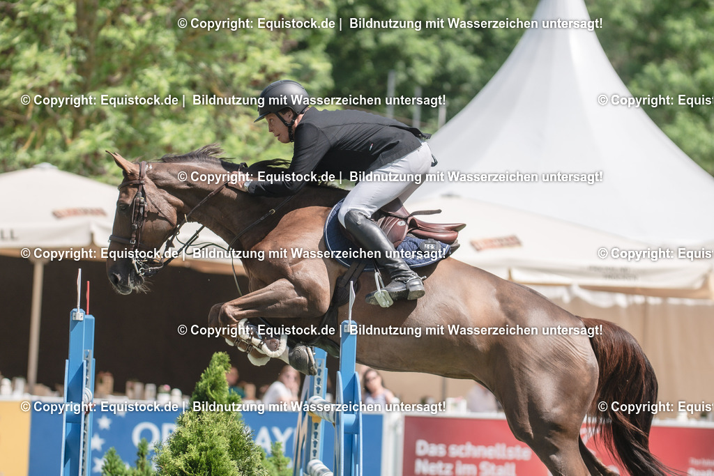 20230527_12_CSI4_Pfungstädter_0018 | equistock