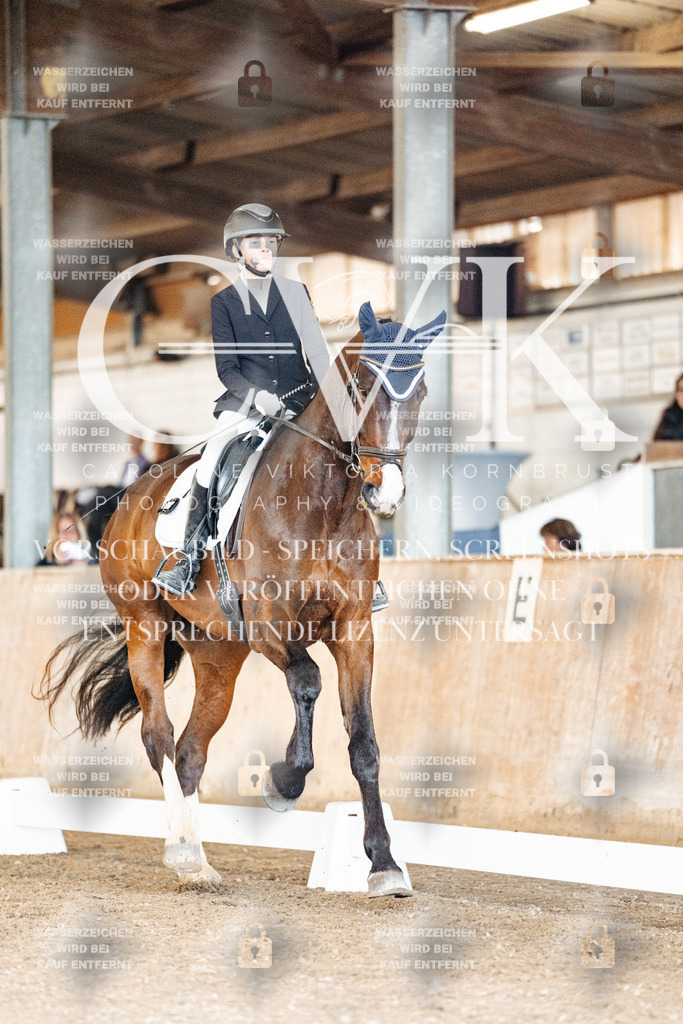 CK901210 | Turnierfotografie Pferdefotografie Trier Rheinland-Pfalz Pferdesport Reitsport Tierfotografie Sportfotografie Pferdevideo Pferdevideografie Equestrianvideography equestrianphotography  - Realisiert mit Pictrs.com