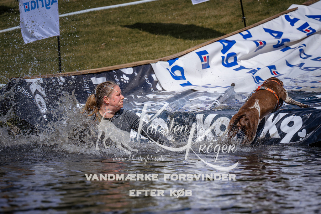 _ZZ934420938 | kk-dogfotos