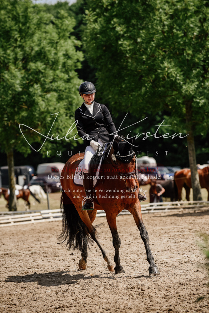 DSC_0923 | Pferde- und Turnierfotografie in Westsachsen. Pferdeportraits, Auftragszeichnungen und intuitive Kunst.