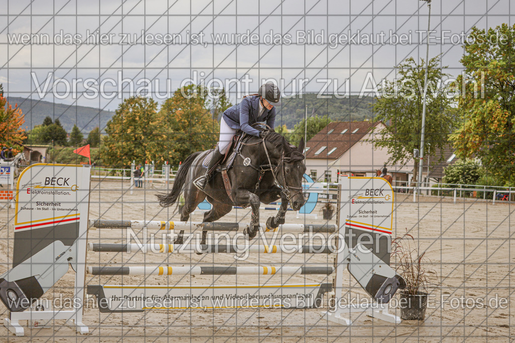 2025-09-22_11-09-56_MG_9027 | TE-Fotos