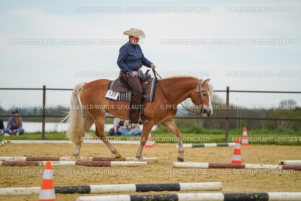 DSC02779 | Pferdegrafie