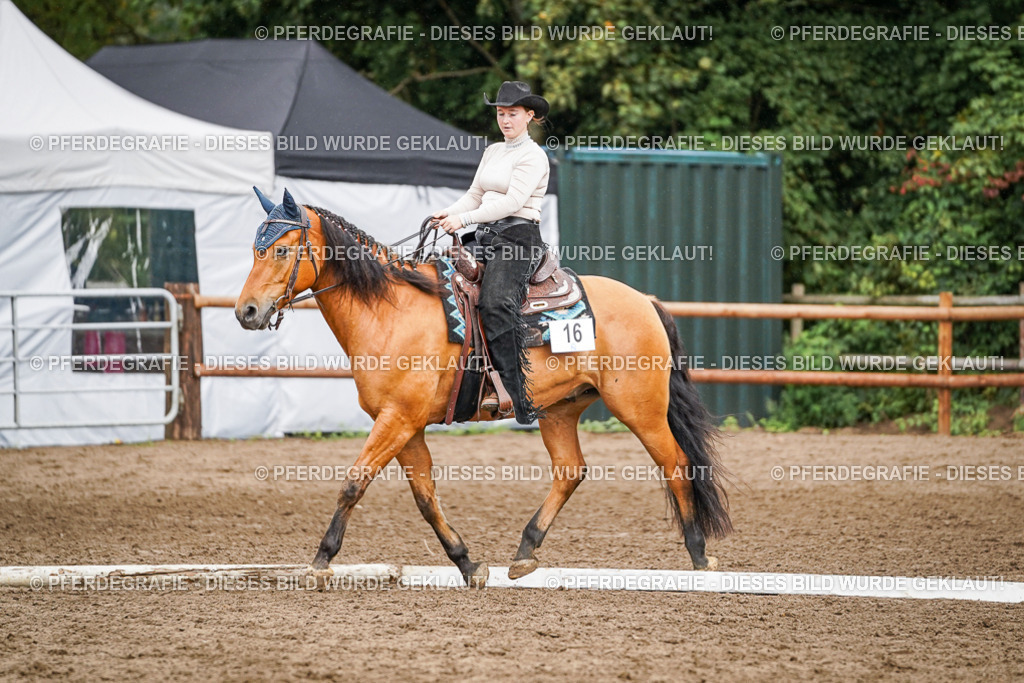 DSC04471 | Pferdegrafie