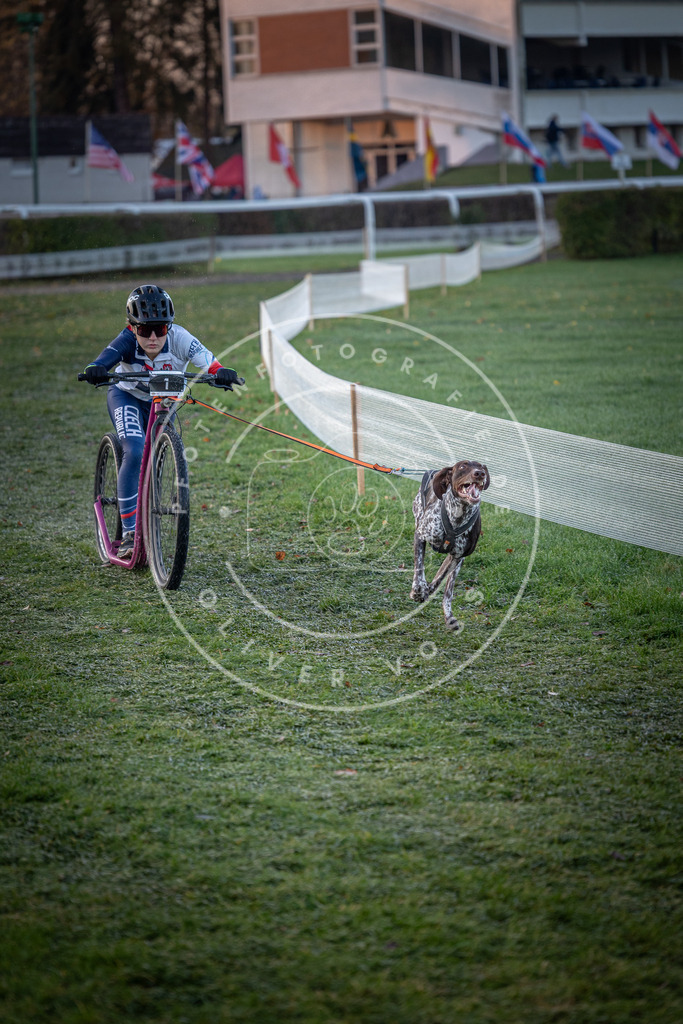 CaniXpix_0L8A0860 | Hundefotografie, Tierfotograf, Pfotenfotografie, Fotoshooting Hund, Hunde Portrait, Hundesport, Hundeportraits, Heideshooting, Hunde, Sportfotograf, Hundefotograf, Turnierhundsport, THS,  - Realisiert mit Pictrs.com