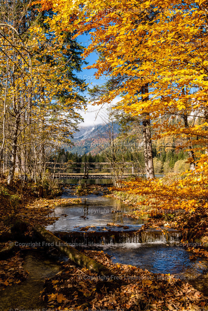 Seewiesen Duerrsee Hochschwab Herbst 24102021-0532 | Fotos und Fotoprodukte - Realisiert mit Pictrs.com