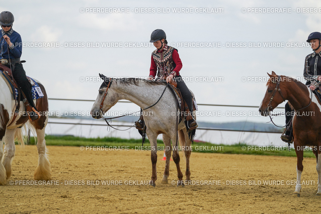 DSC06359 | Pferdegrafie