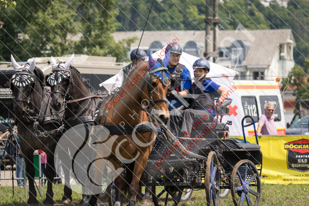 IMG_8706 | Sport-, Event- und Tierfotos in Profiqualität. Einfach auswählen, bestellen und herunterladen. Dein Moment – perfekt festgehalten.