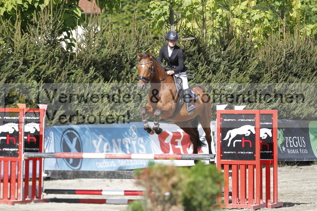 _MG_3487 | equestrian-live-com