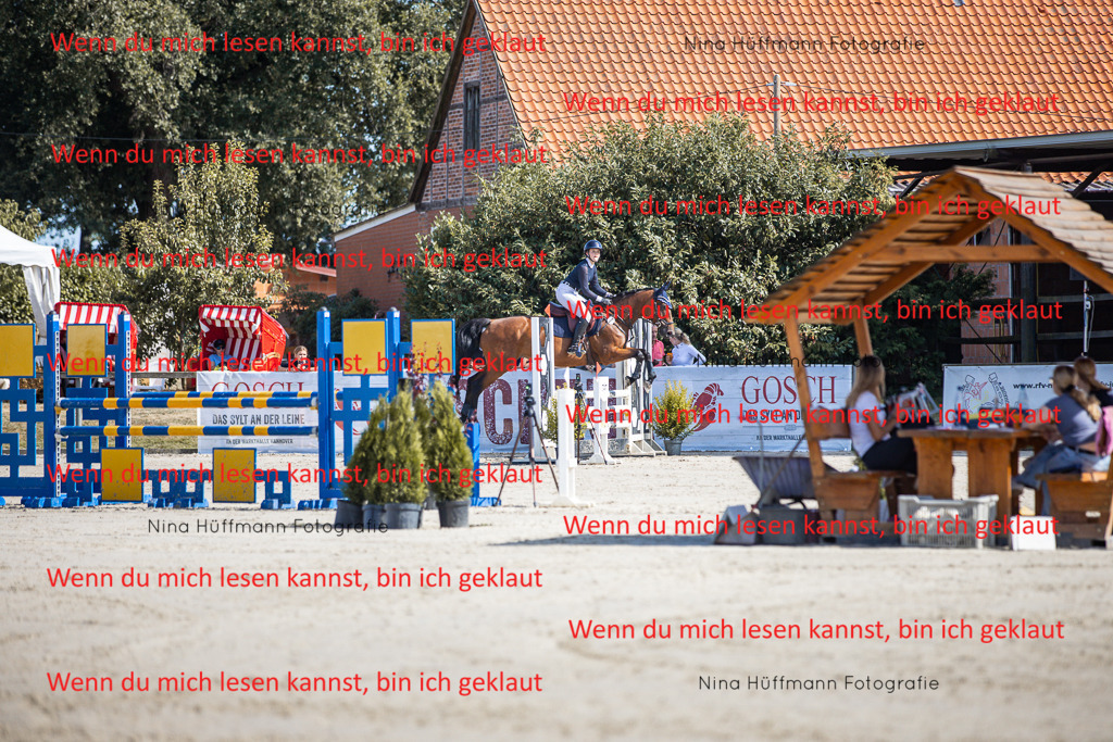 BK1A7001 | Turnierbilder Turnierfotos Nina Hüffmann Turnierfotografie Pferdefotografie Tierzeichnung Haustierzeichnung Pferdezeichnung Hundezeichnung Videograf  - Realisiert mit Pictrs.com