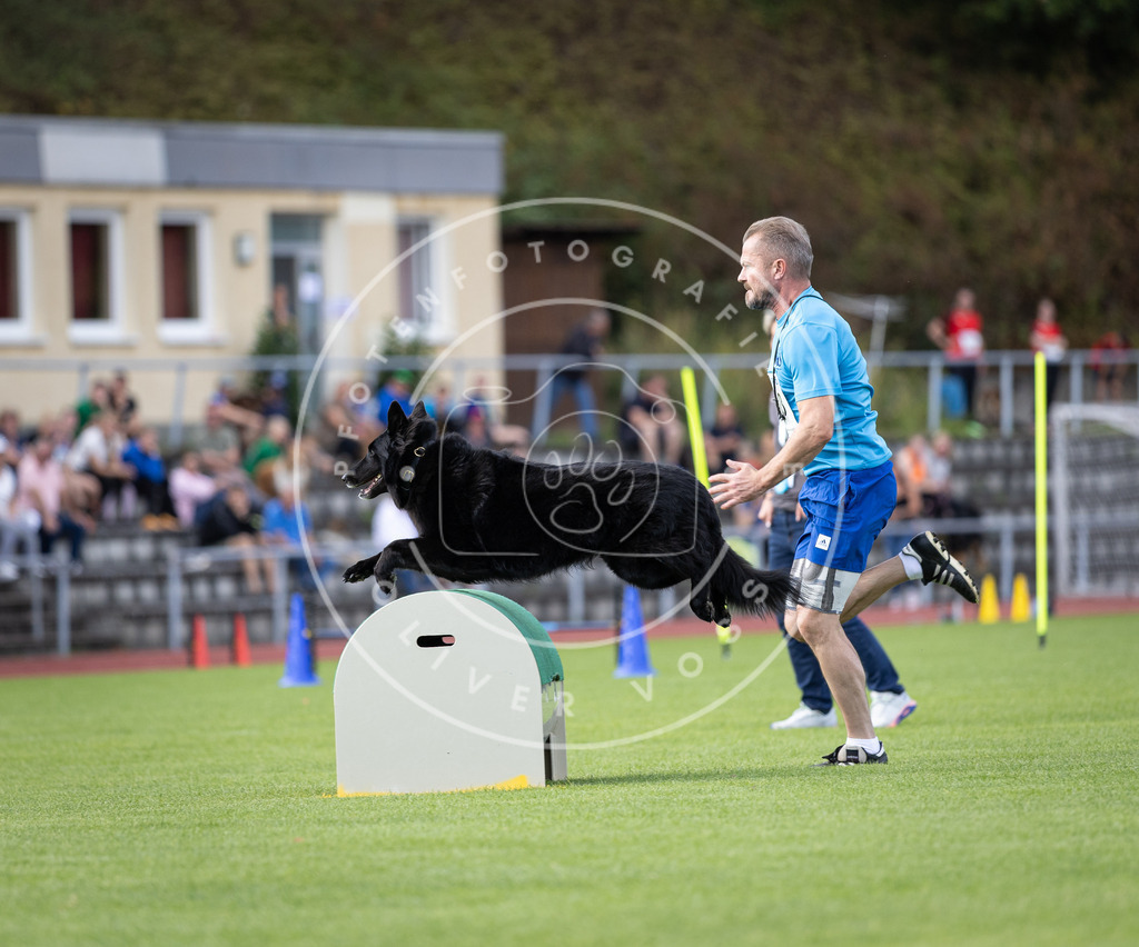 Pfotenfotografie_DV3A1641 | Hundefotografie, Tierfotograf, Pfotenfotografie, Fotoshooting Hund, Hunde Portrait, Hundesport, Hundeportraits, Heideshooting, Hunde, Sportfotograf, Hundefotograf, Turnierhundsport, THS,  - Realisiert mit Pictrs.com