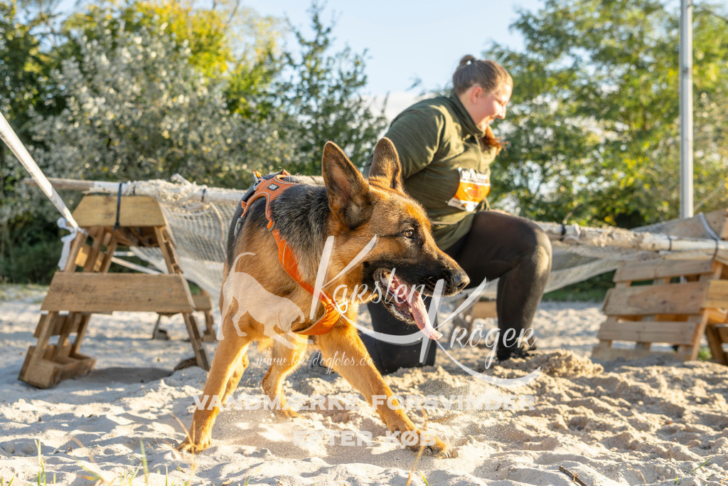 1651_ZZ99866 | kk-dogfotos