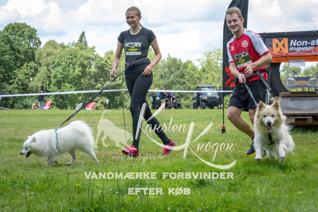 1329_ZZ90089 | kk-dogfotos