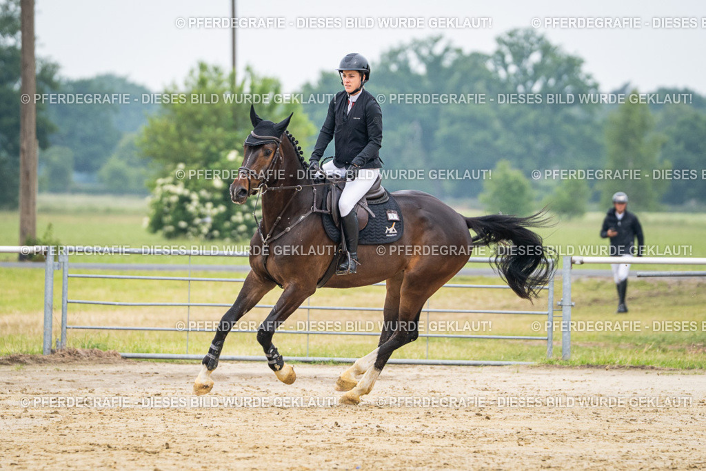 DSC09777 | Pferdegrafie