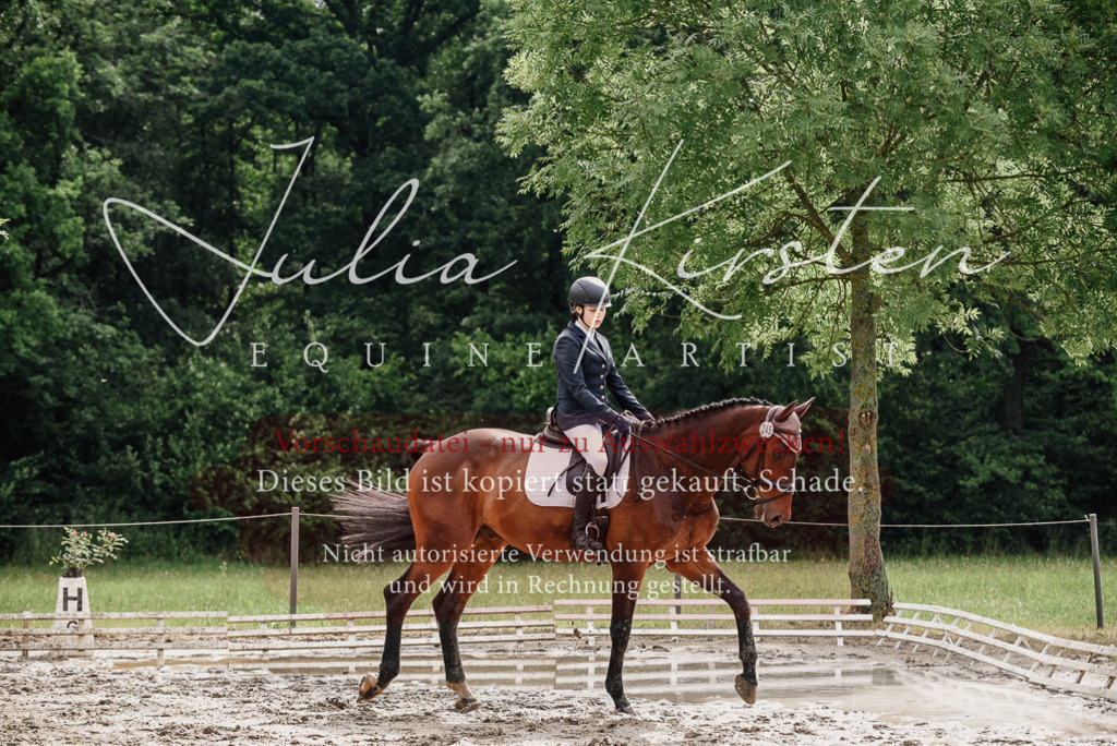 DSC_9592 | Pferde- und Turnierfotografie in Westsachsen. Pferdeportraits, Auftragszeichnungen und intuitive Kunst.