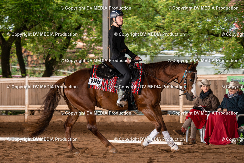 Erbach Tag 2-290 | dv-media-shop - Realisiert mit Pictrs.com