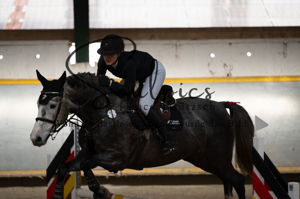 A7V02272 | Pferdefotograf