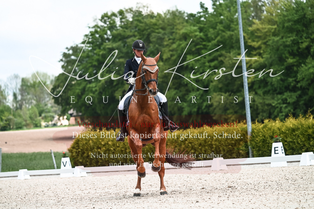 20230514_JK-Röhrsdorf-21-032 | Pferde- und Turnierfotografie in Westsachsen. Pferdeportraits, Auftragszeichnungen und intuitive Kunst.