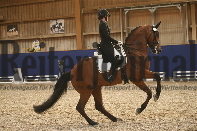 Turnier_Zeutern_2022_Prfg.Nr.02_Kurz-GrandPrix_Ann-Kathrin Lachemann_Fransje 3 (25) | Alle Fotos der Reiterjournal Fotografin Doris Matthaes im Reiterjournal Online-Fotoshop. - Realisiert mit Pictrs.com