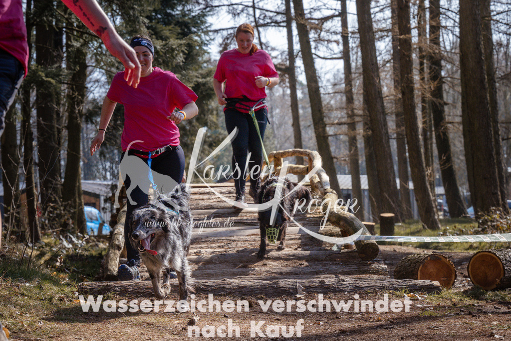 1345_ZZ96381 | kk-dogfotos