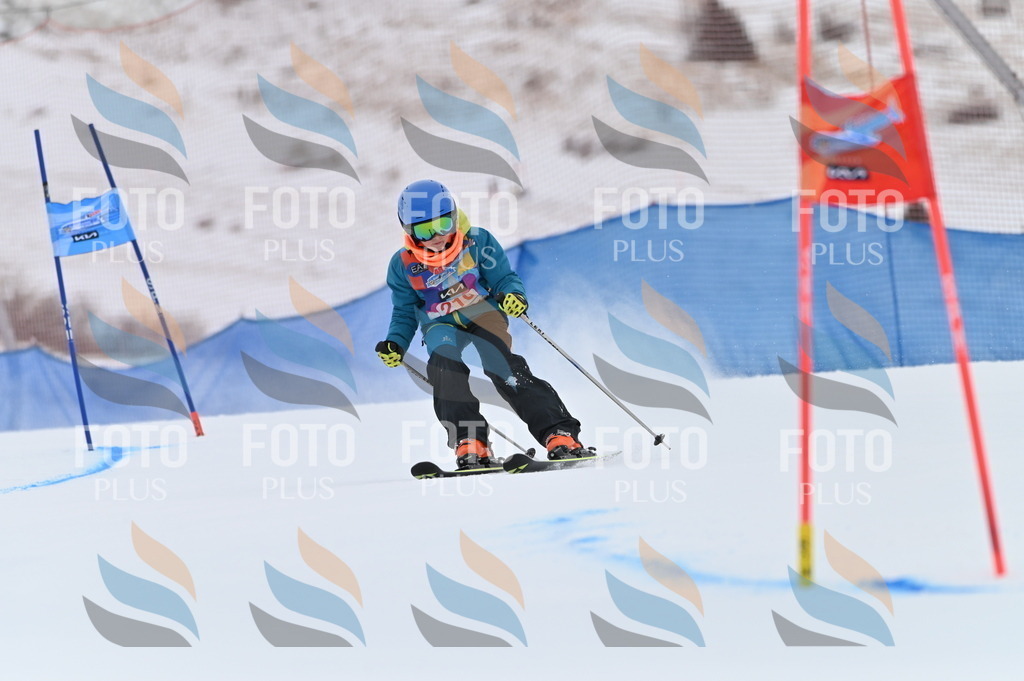 BGV_2400 | holidayphoto