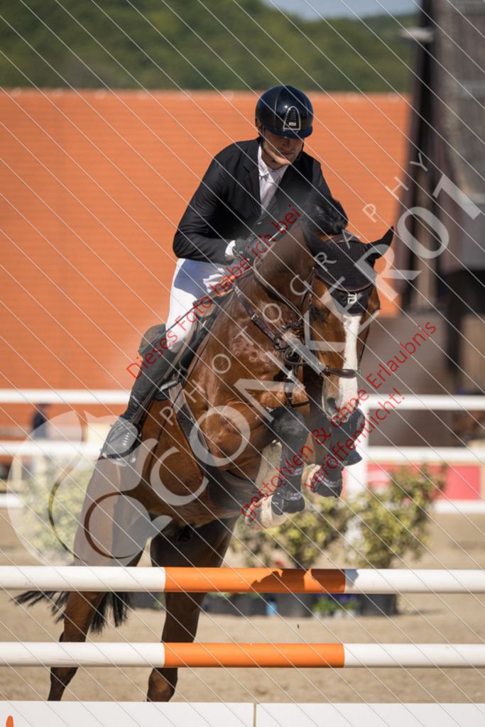 IMG_3494 | Sport-, Event- und Tierfotos in Profiqualität. Einfach auswählen, bestellen und herunterladen. Dein Moment – perfekt festgehalten.