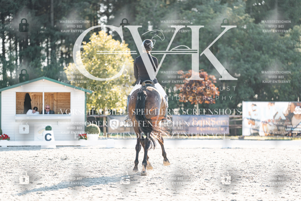 CK907138 | Turnierfotografie Pferdefotografie Trier Rheinland-Pfalz Pferdesport Reitsport Tierfotografie Sportfotografie Pferdevideo Pferdevideografie Equestrianvideography equestrianphotography  - Realisiert mit Pictrs.com