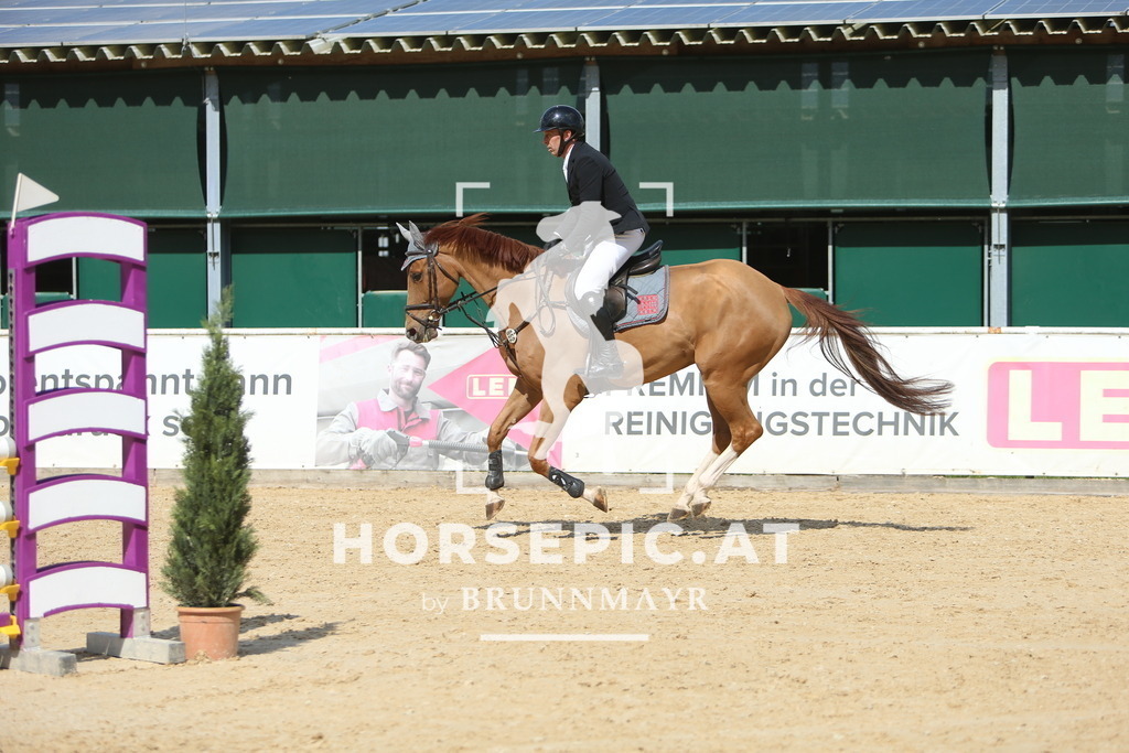 DL2Q9174 | Willkommen bei Brunnmayr - Design & Fotografie – Ihrem Spezialisten für Reitturniere und Pferdeveranstaltungen in Oberösterreich, Salzburg und Bayern! Seit über 17 Jahren sind wir leidenschaftlich dabei.