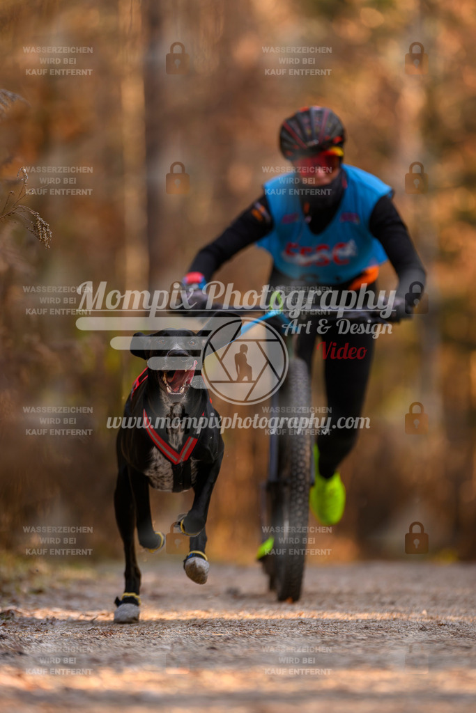 MompixPhotography_DM_AKDM_SO_2025_Scooter-83 | PayLife