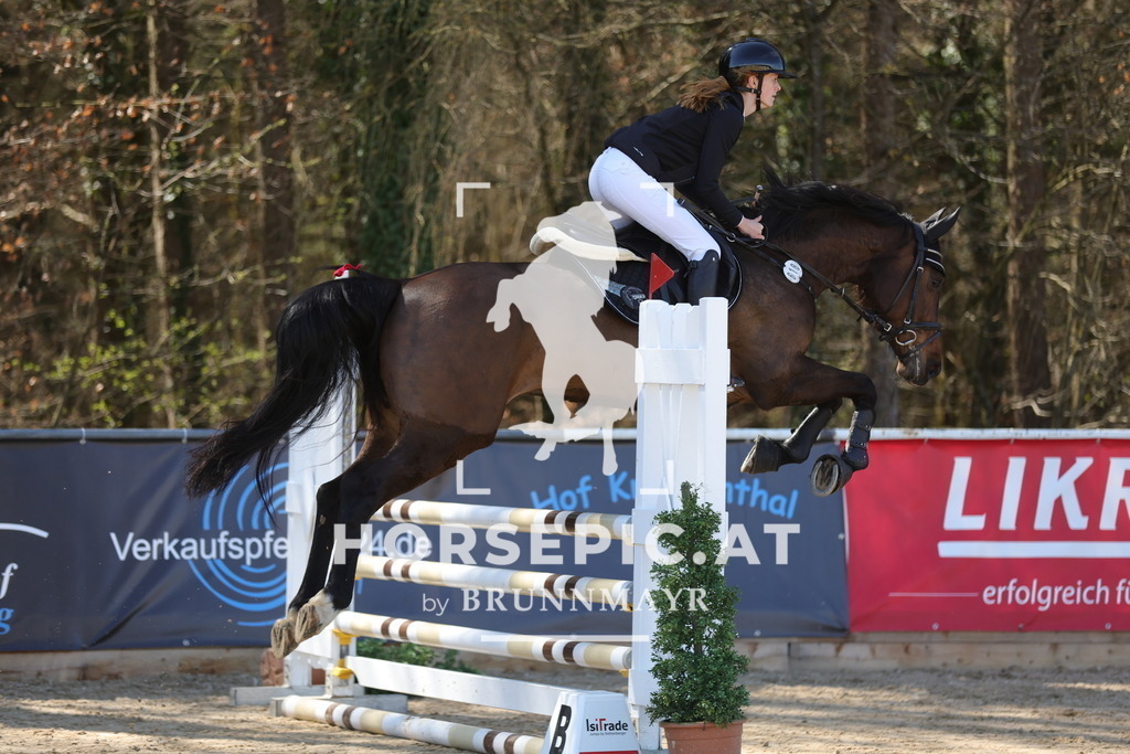 0P6A7833 | Willkommen bei Brunnmayr - Design & Fotografie – Ihrem Spezialisten für Reitturniere und Pferdeveranstaltungen in Oberösterreich, Salzburg und Bayern! Seit über 17 Jahren sind wir leidenschaftlich dabei.